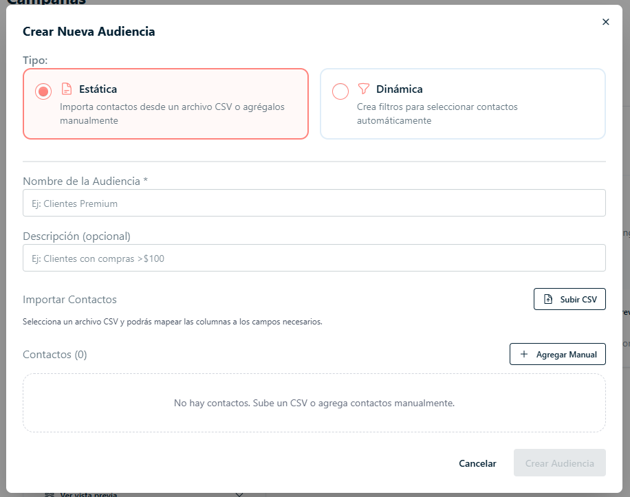 Crear nueva audiencia