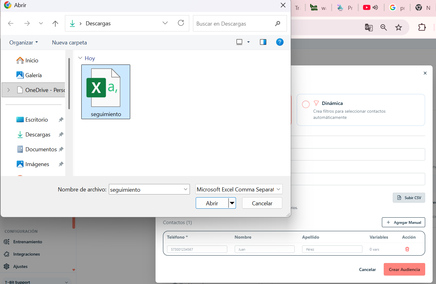 Opciones de carga: CSV o manual