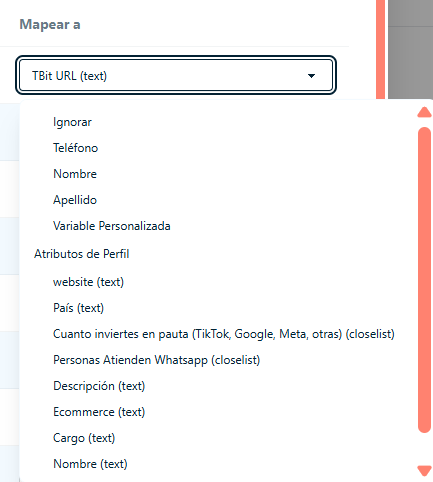 Mapeo de columnas CSV