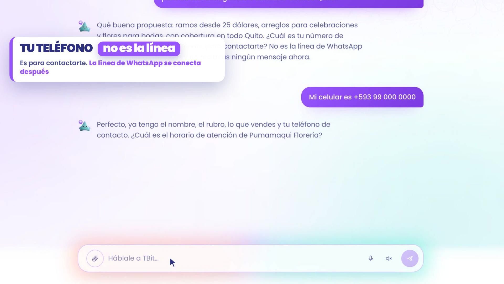 Daniela donne son portable avec l'indicatif de l'Équateur. À côté, la plaque Ton téléphone n'est pas la ligne : c'est pour te contacter ; la ligne WhatsApp se connecte plus tard.