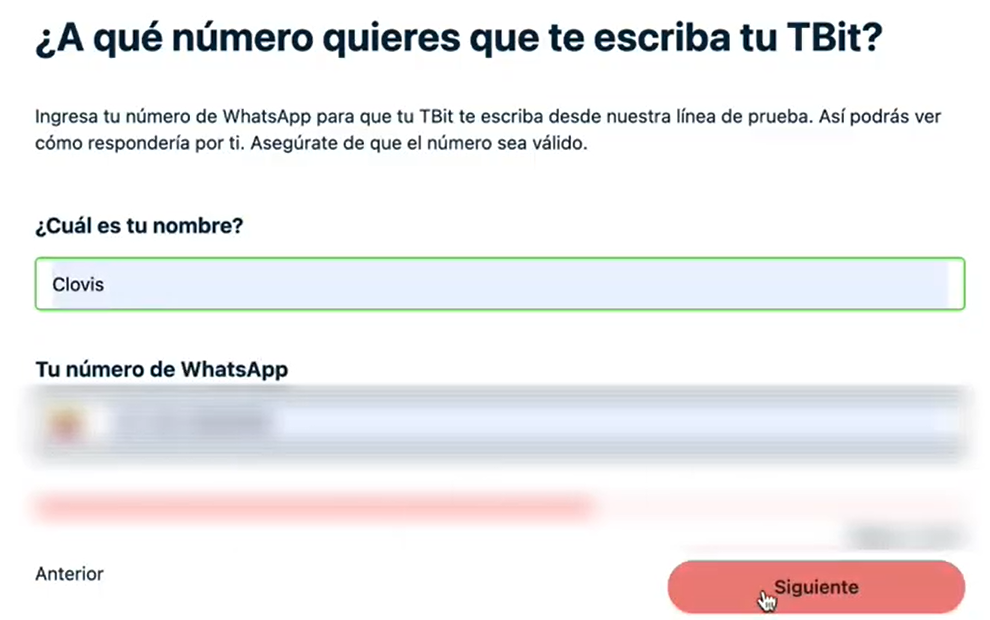 Formulario de informacion basica del agente TBit