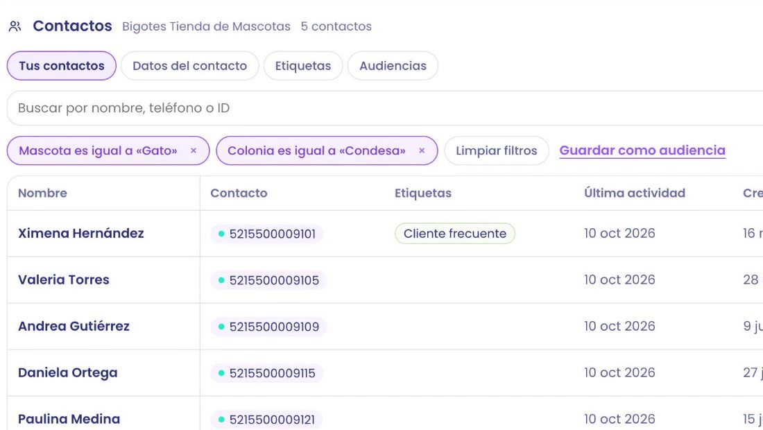 Contacts with two filters: Pet is equal to Cat and Neighborhood is equal to Condesa. 5 contacts remain.