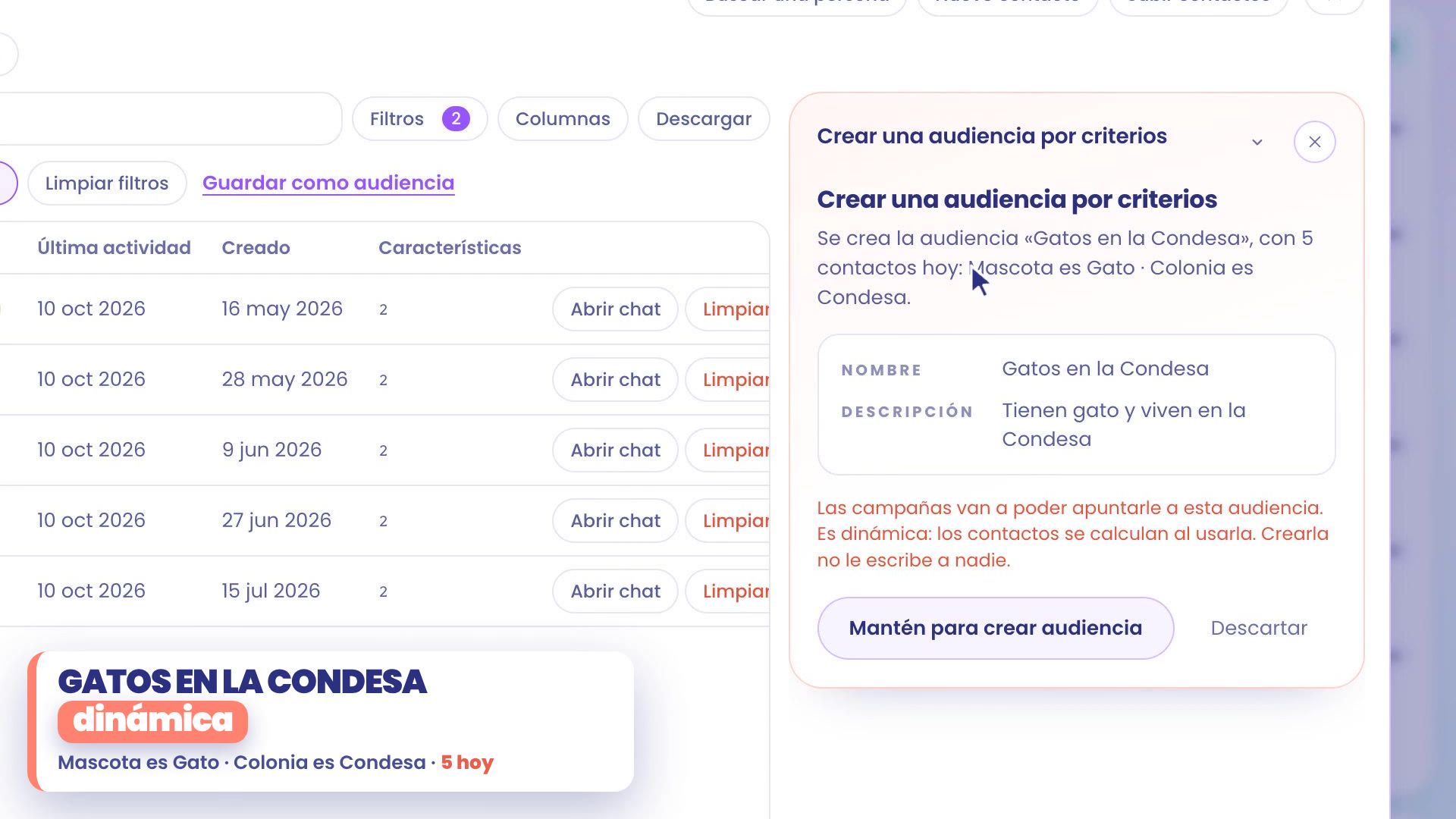 Create an audience by criteria card: the audience Cats in Condesa is created, with 5 contacts today, Pet is Cat and Neighborhood is Condesa. It's dynamic: contacts are calculated when you use it. Hold to create audience button.